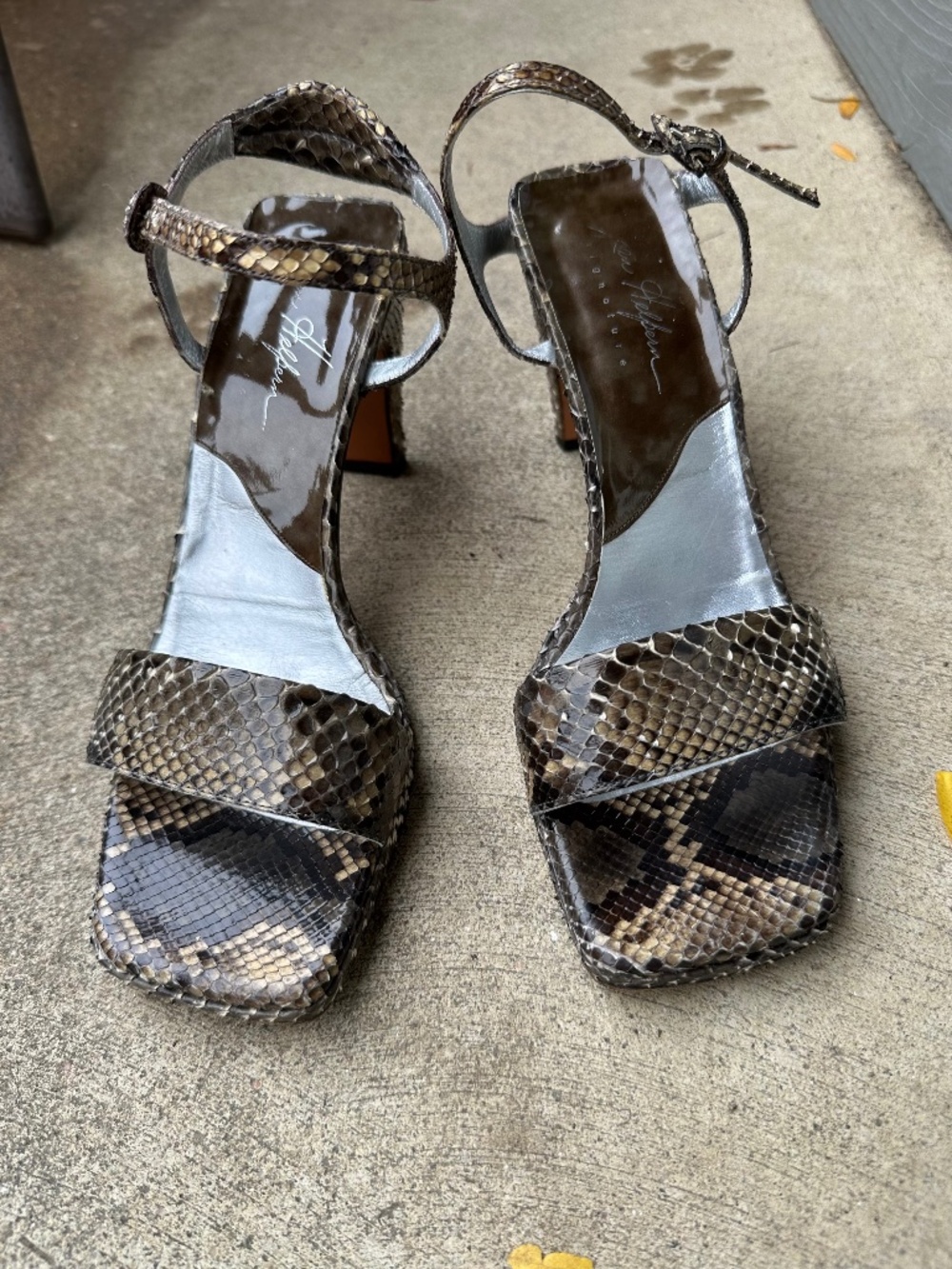 Python Heels - Picture 4 of 16